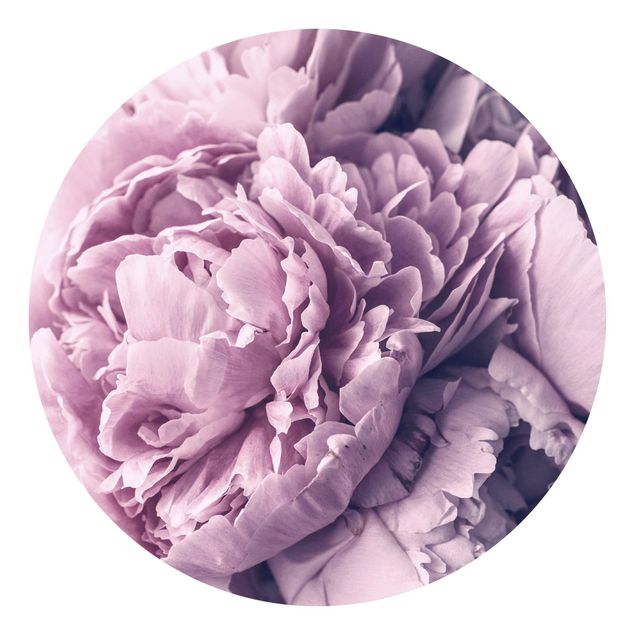 Papier peint floral Fleurs de pivoines violettes