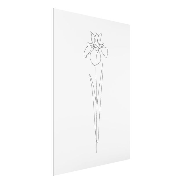 Tableaux noir et blanc Line Art Flowers - Iris