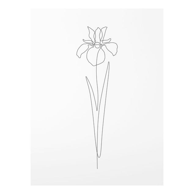 Tableau décoration Line Art Flowers - Iris