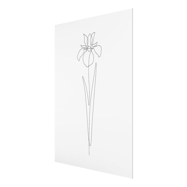 Tableaux en verre magnétique Line Art Flowers - Iris