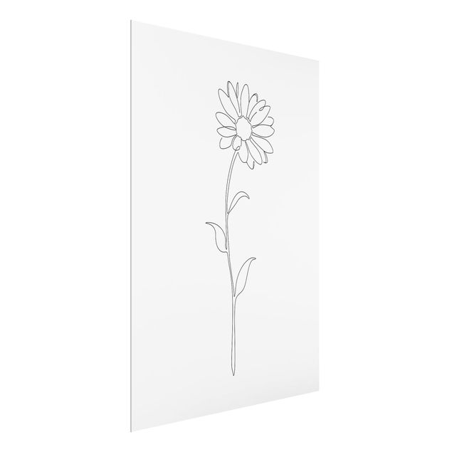 Tableaux noir et blanc Line Art Flowers - Marguerite