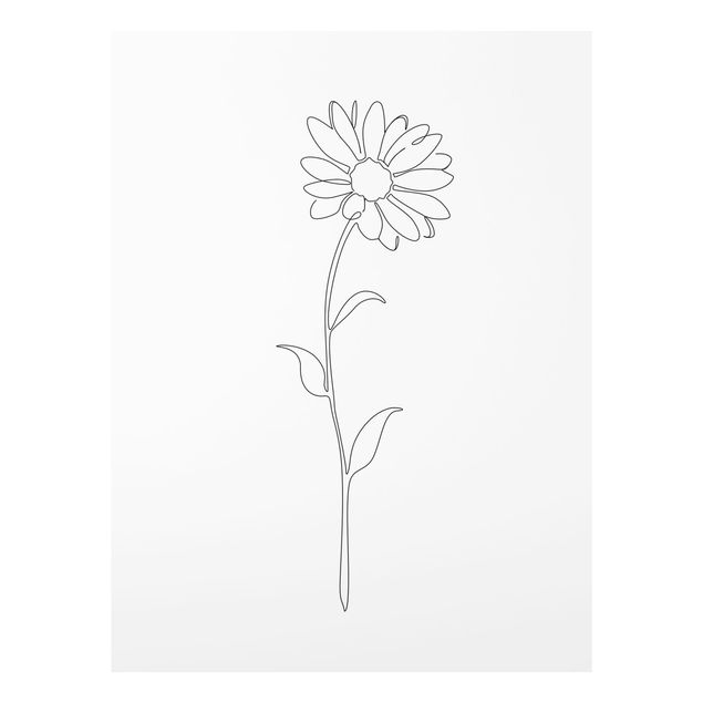 Tableaux Line Art Flowers - Marguerite