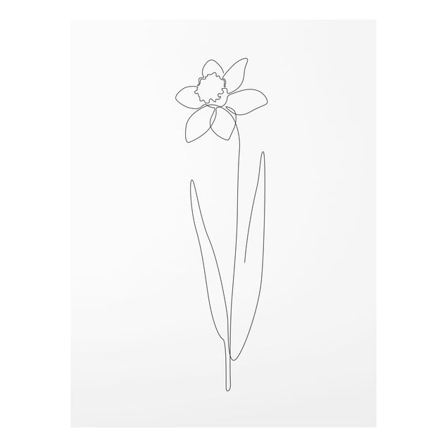 Tableaux Line Art Flowers - Daffodil