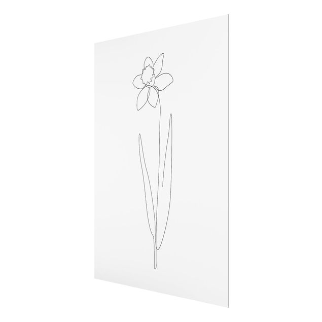 Tableaux en verre magnétique Line Art Flowers - Daffodil