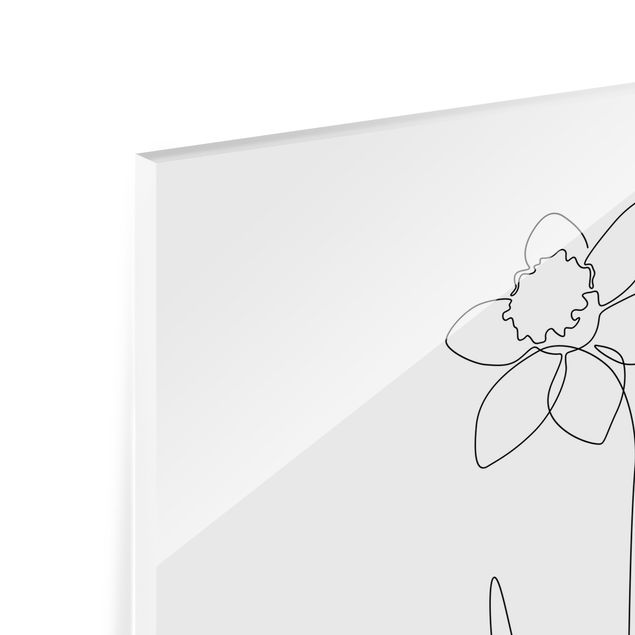 Tableau en verre - Line Art Flowers - Daffodil
