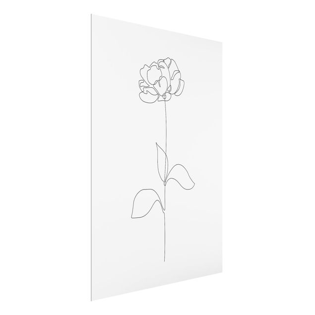 Tableaux portraits Line Art Flowers - Peony