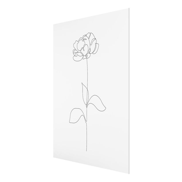 Tableaux Line Art Flowers - Peony