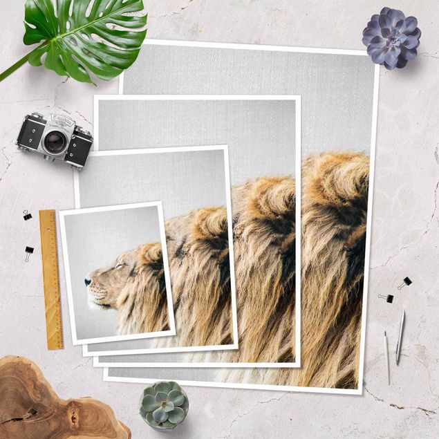 Posters Lion Leopold