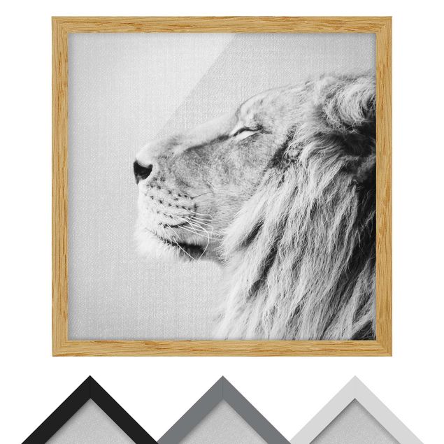 Tableaux noir et blanc Lion Leopold Noir et Blanc