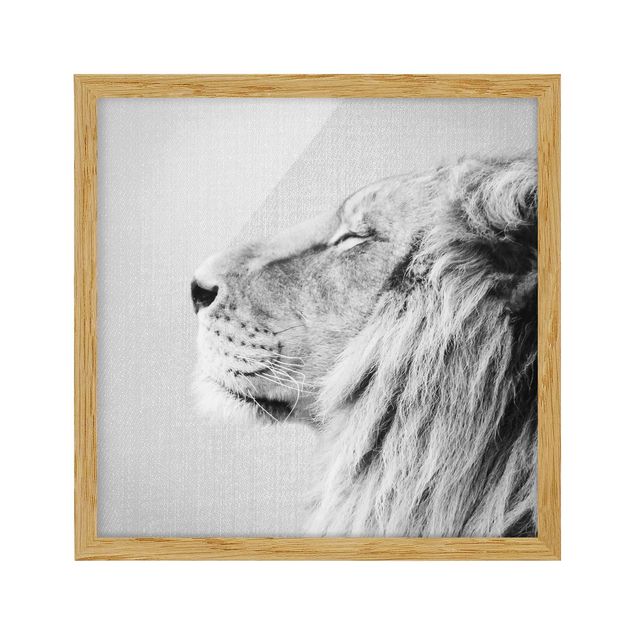 Affiches encadrées animaux Lion Leopold Noir et Blanc