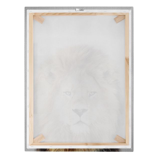 Cadre animaux Lion Linus