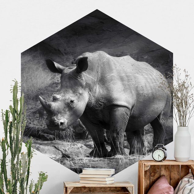 Déco mur cuisine Rhinocéros solitaire