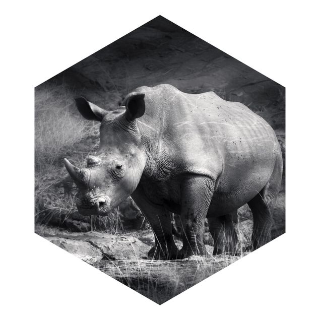 papier peint xxl Rhinocéros solitaire