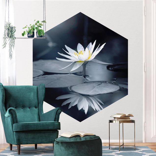 Papier peint moderne Reflet de lotus dans l'eau