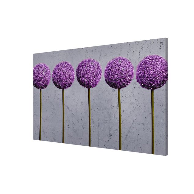 Tableaux magnétiques avec fleurs Allium Round-Headed Flower