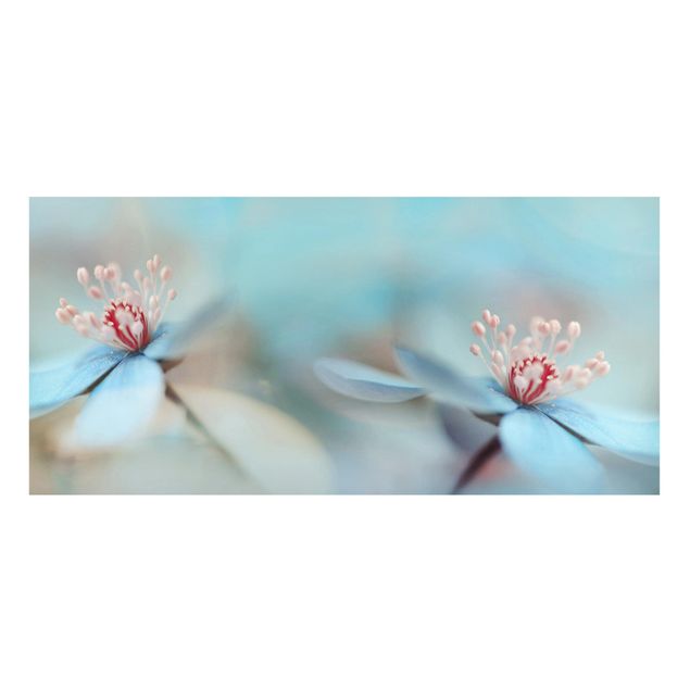 Tableaux magnétiques avec fleurs Fleurs en bleu clair