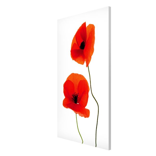 Tableau coquelicot Charming Poppies