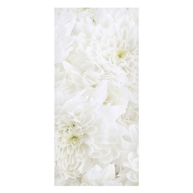Tableaux magnétiques avec fleurs Dahlias Mer De Fleurs Blanc