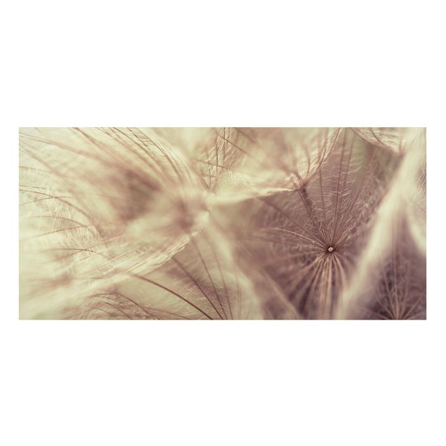 Tableaux magnétiques avec fleurs Detailed Dandelion Macro Shot With Vintage Blur Effect