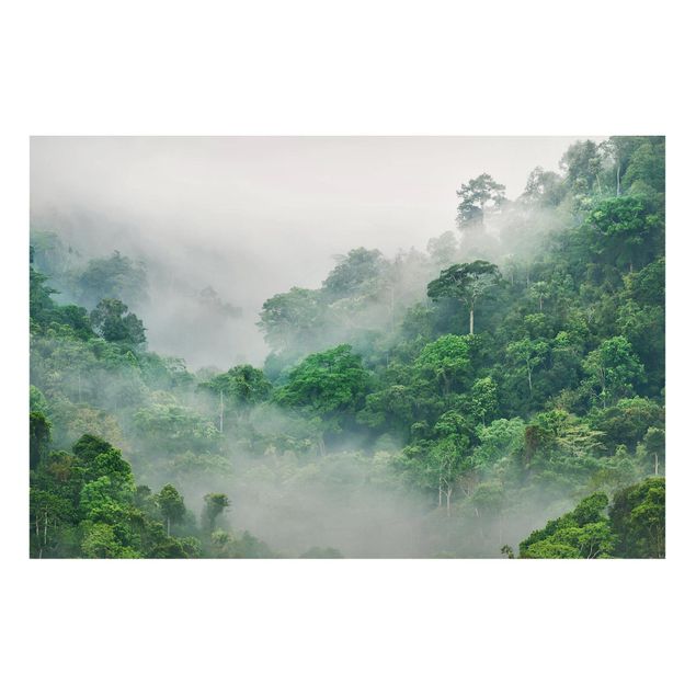 Tableaux paysage Jungle dans le brouillard