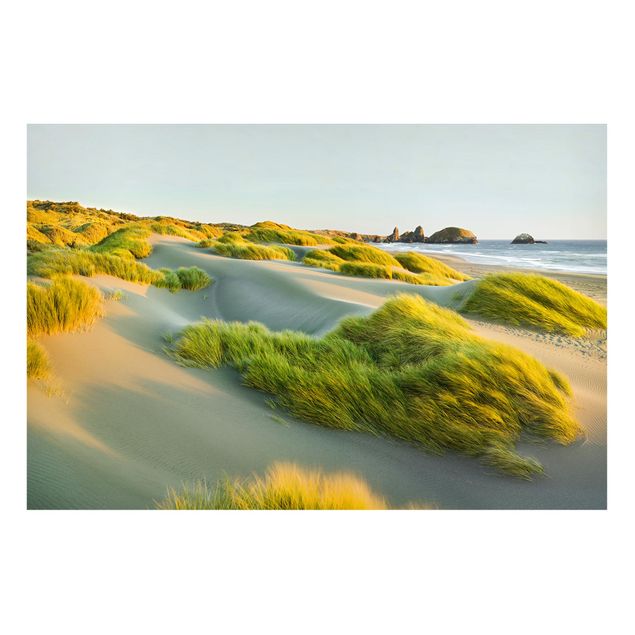 Tableau paysage Dunes et herbes à la mer