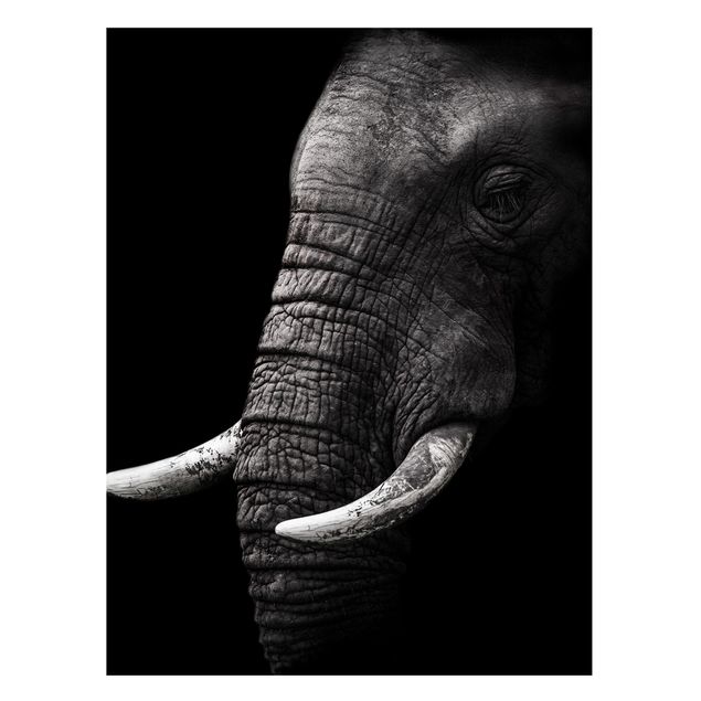 Tableau paysage Portrait d'éléphant sombre