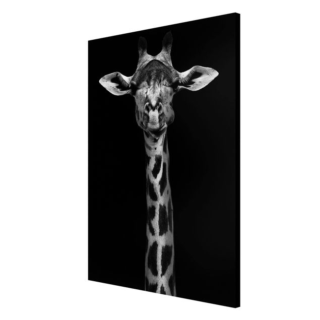 Tableaux modernes Portrait de girafe sombre