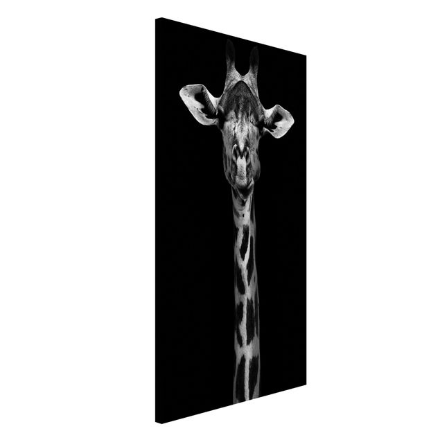 Décorations cuisine Portrait de girafe sombre