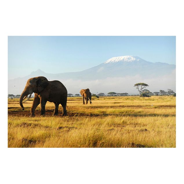 Tableau paysages Eléphants devant le Kilimandjaro au Kenya