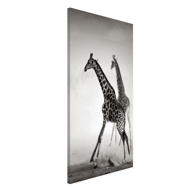 Déco murale cuisine Girafes à la chasse