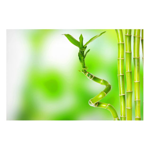 Tableau zen bambou bambou vert