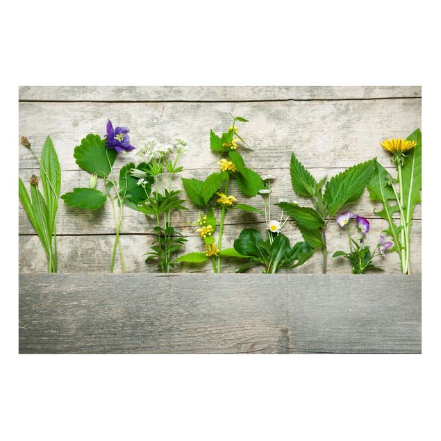 Tableaux magnétiques avec fleurs Herbes médicinales et herbes des prés