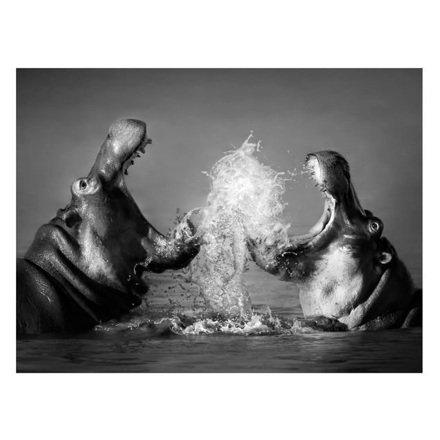 Tableaux moderne Hippo Fight