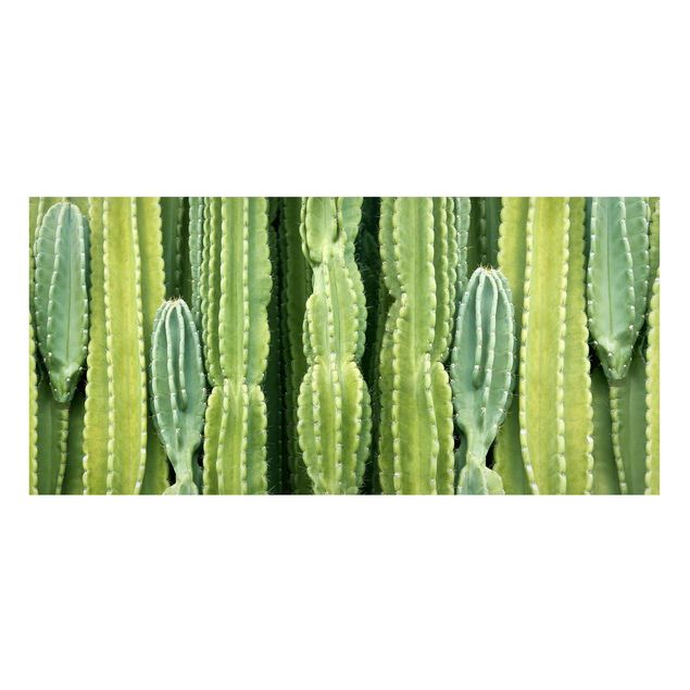 Tableaux magnétiques avec fleurs Mur de cactus