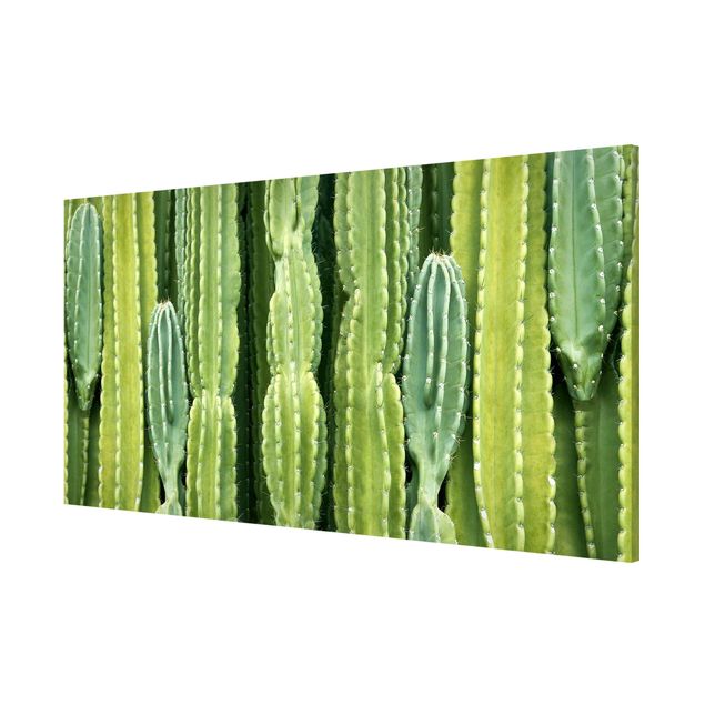 Tableaux modernes Mur de cactus