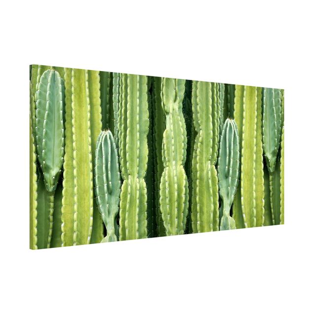 Décorations cuisine Mur de cactus