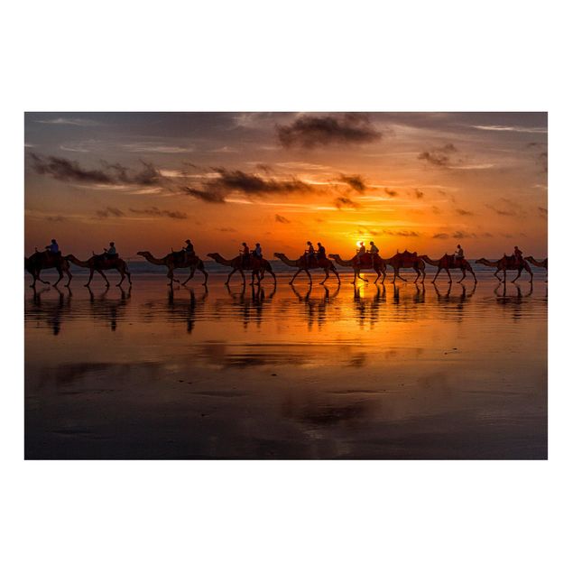 Tableau paysage Safari à dos de chameau