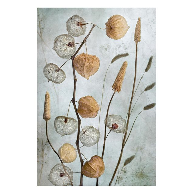 Tableaux magnétiques avec fleurs Fruit de la lanterne en automne