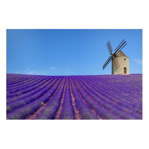 Tableau paysage Senteur de lavande en Provence