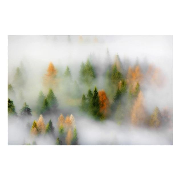 Tableau paysage Forêt de nuages en automne