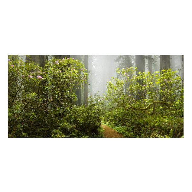 Tableau paysages Chemin de forêt brumeux