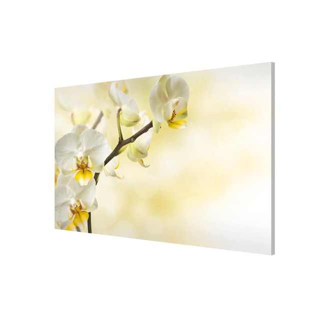 Tableaux magnétiques avec fleurs branche d'orchidée