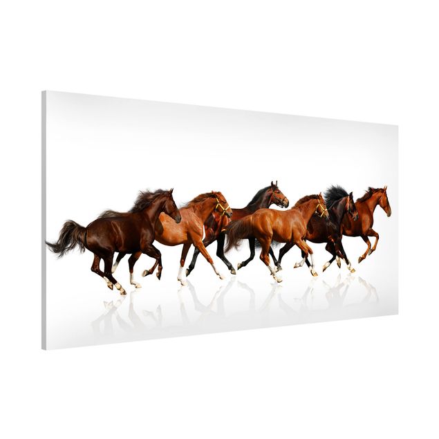 Tableau magnétique - Horse Herd