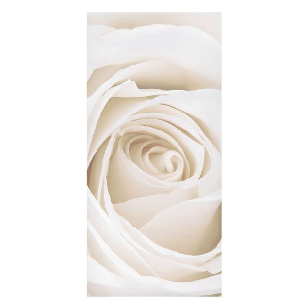 Tableaux magnétiques avec fleurs Jolie Rose Blanche
