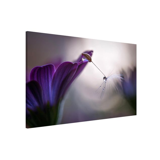 Tableaux magnétiques avec fleurs Purple Rain