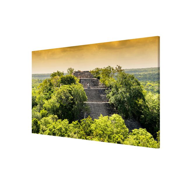 Tableau arbres Pyramide de Calakmul