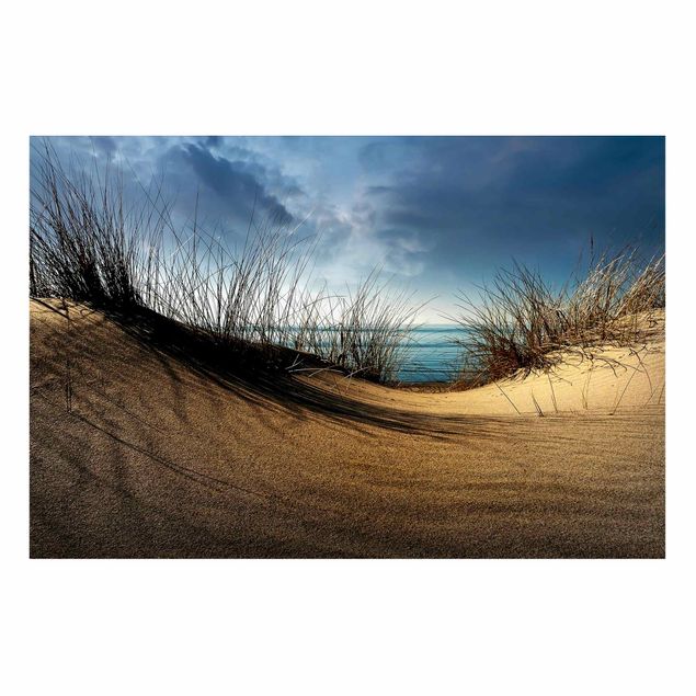 Tableau paysages Dune de sable