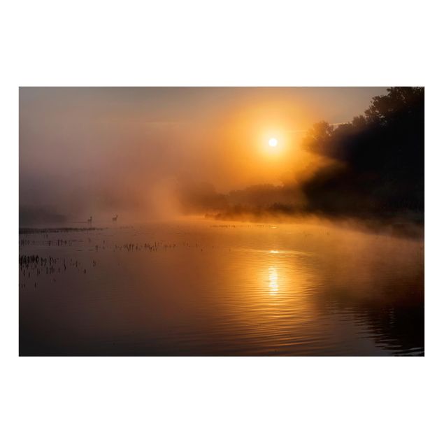Tableaux paysage Lever de soleil sur le lac avec des cerfs dans le brouillard