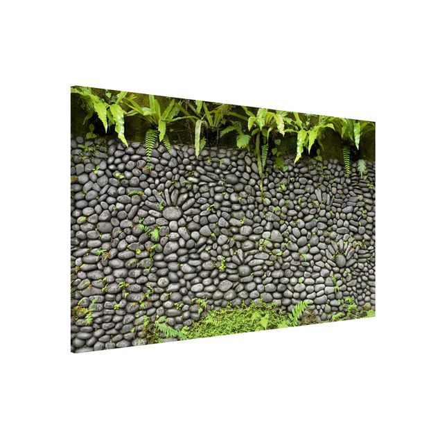 Décorations cuisine Mur de pierre avec plantes