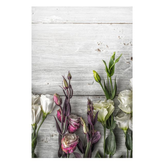 Tableaux fleurs Tulip Rose Shabby Wood Look